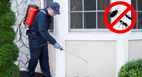 Ortaköy Dezenfeksiyon böcek ilaçlama ve haşere kontrolü — ilaclama-tr.com